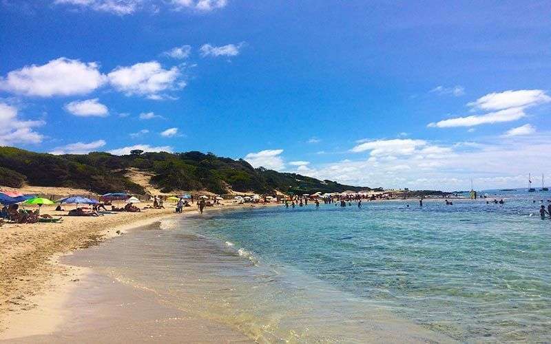Beach Club Transfer in Ibiza — private transport image 2